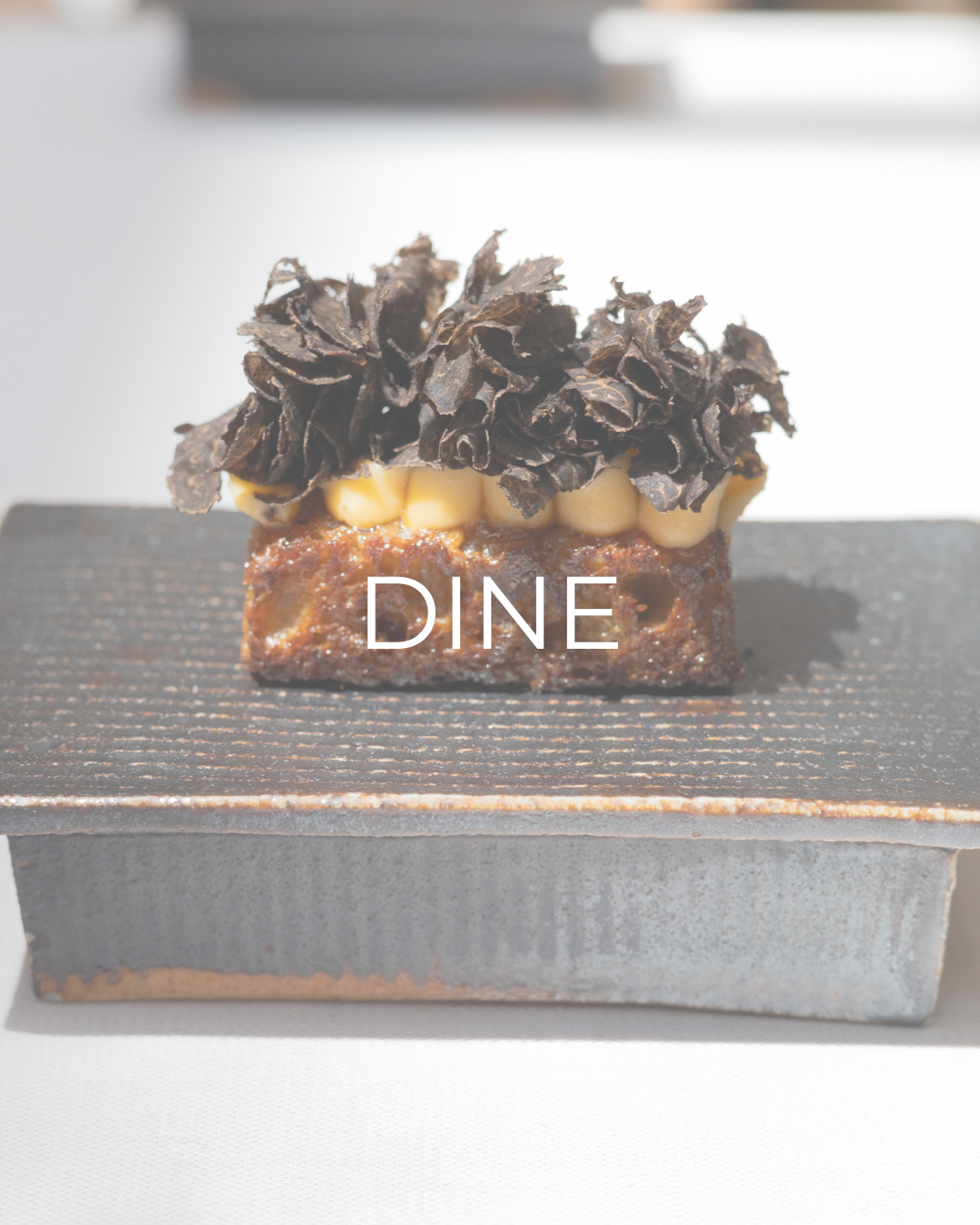 Gourmet dessert topped with chocolate shavings and text overlay reading 'DINE'.