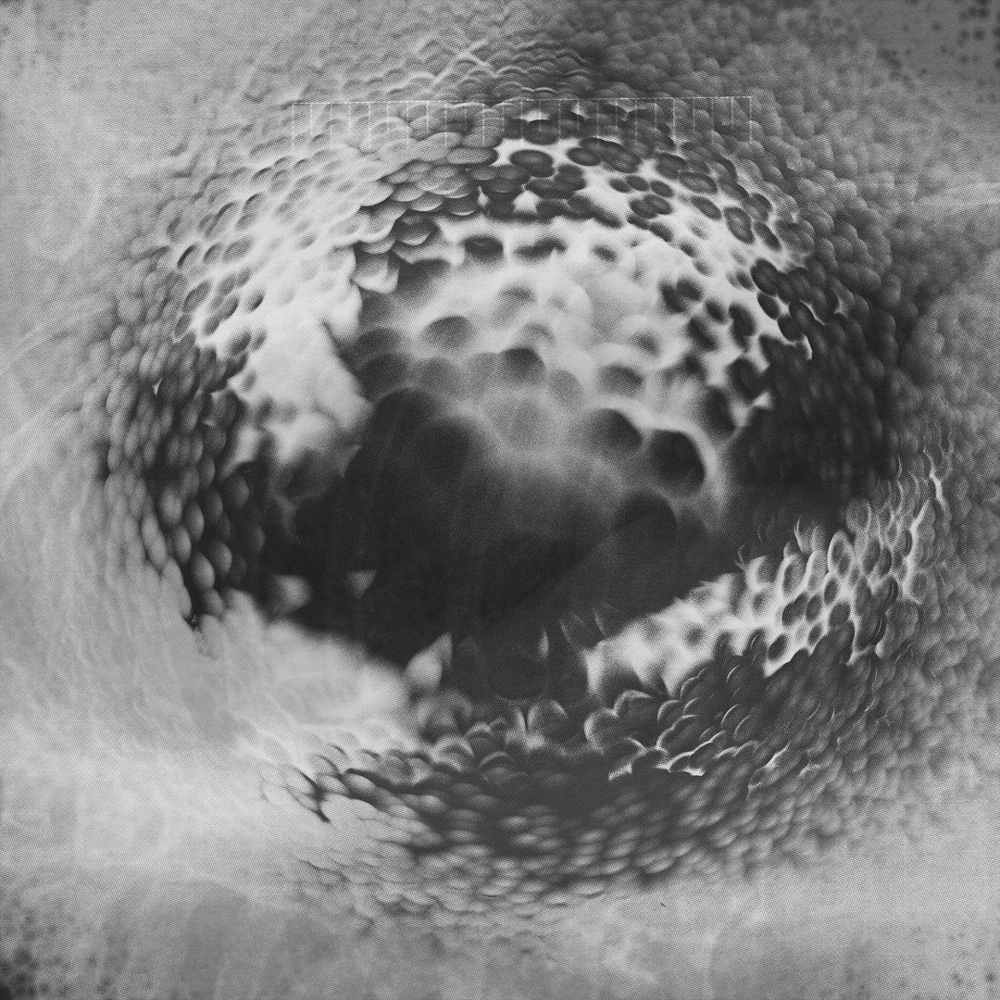 Black and white abstract sequence showing circular patterns dissolving and morphing in a liquid-like motion effect.