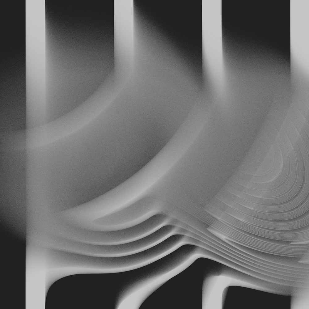 Abstract black and white curves create a flowing pattern with soft gradients and smooth lines against a dark background.