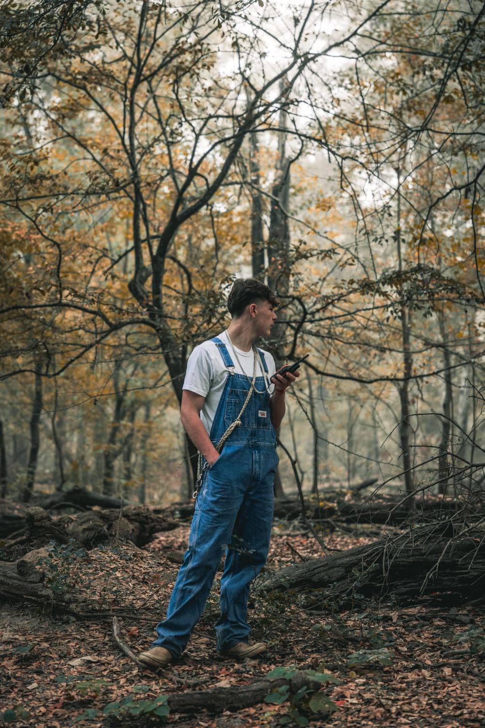 Figure in denim overalls explores a misty autumn forest with fallen leaves.