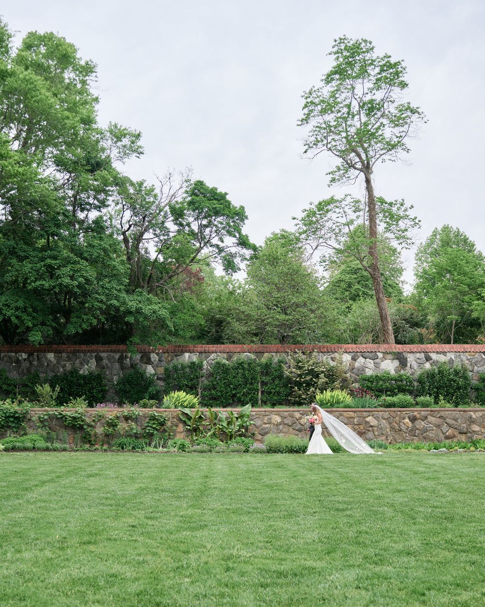 A panoramic view of a spacious green lawn bordered by tall trees and an old brick wall on a sunny day.