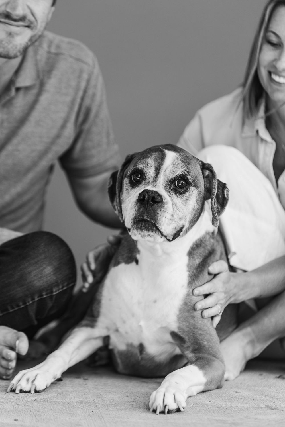 Black and white close-up of a boxer mix dog with two people partially visible in the background.