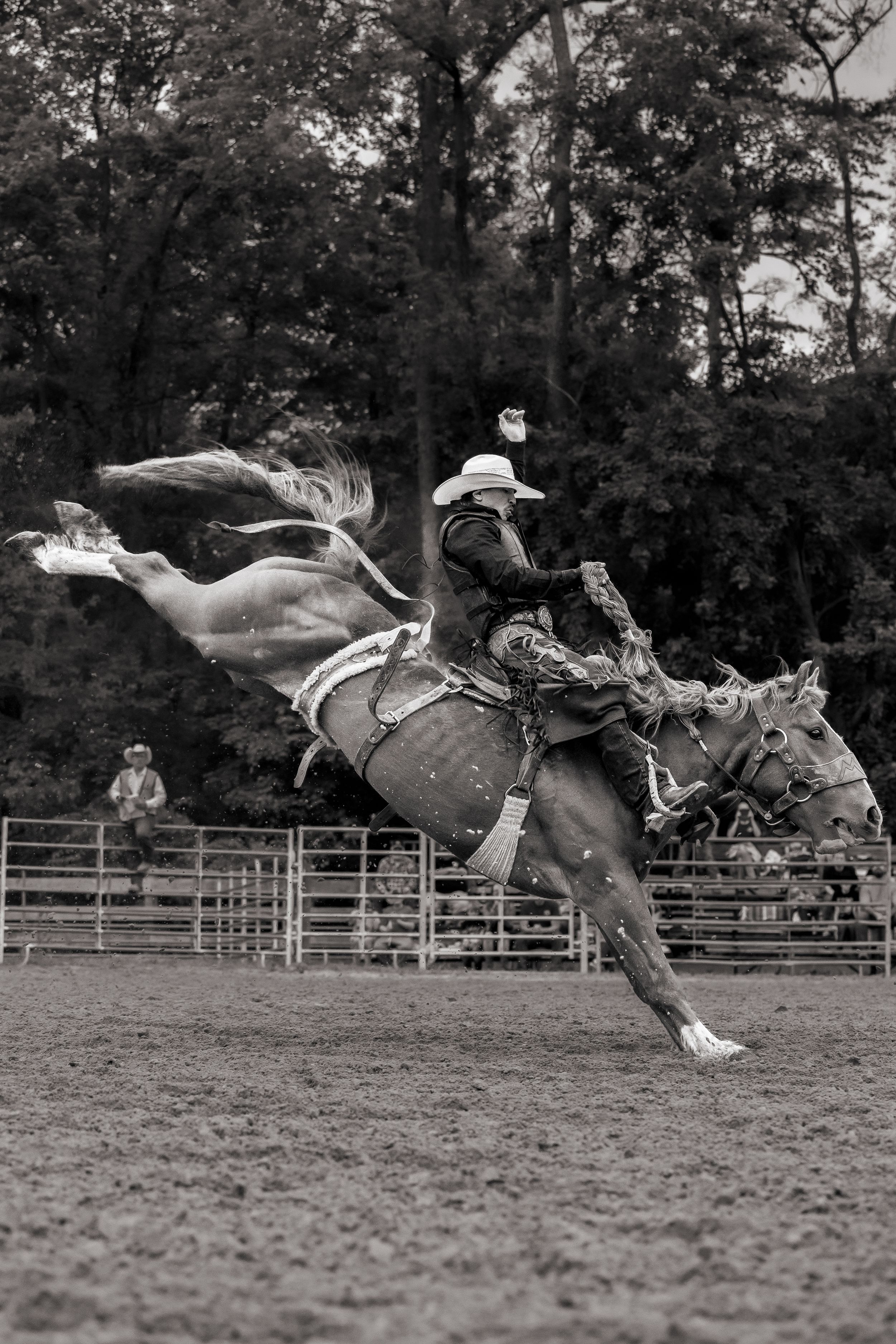 Saddle Bronc Riding