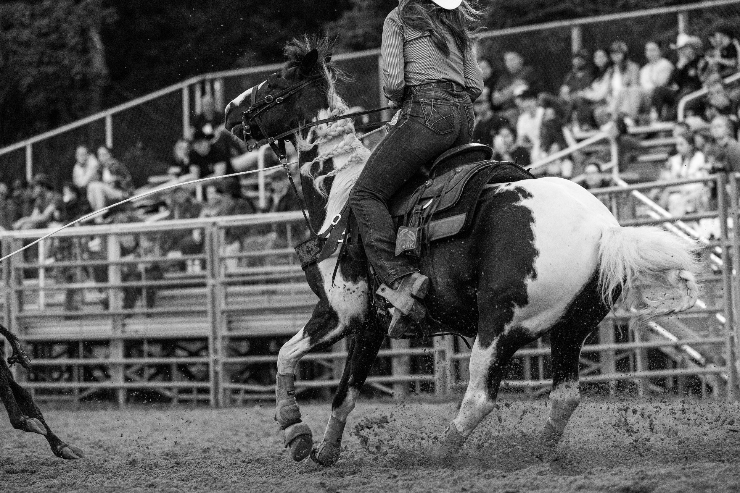 Breakaway Roping