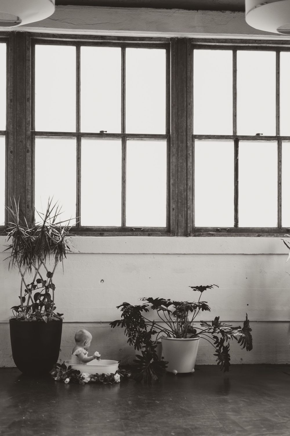 Black and white photo of a baby sitting among potted plants near large industrial windows in a spacious room.