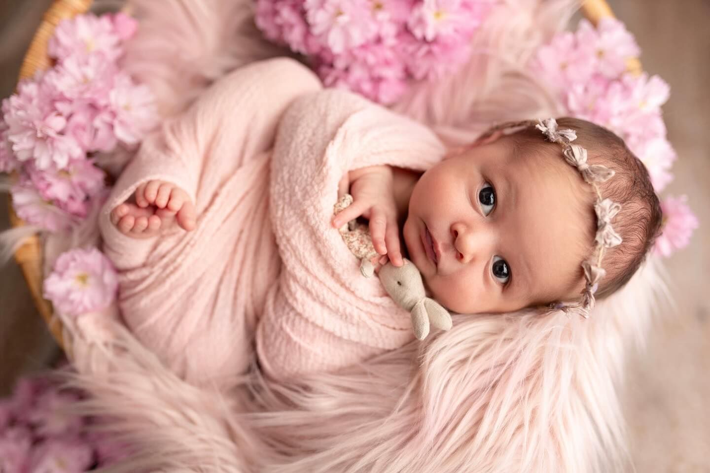 Beautiful pink cherry blossoms frame a delicate portrait session with soft lighting and blush-toned styling.