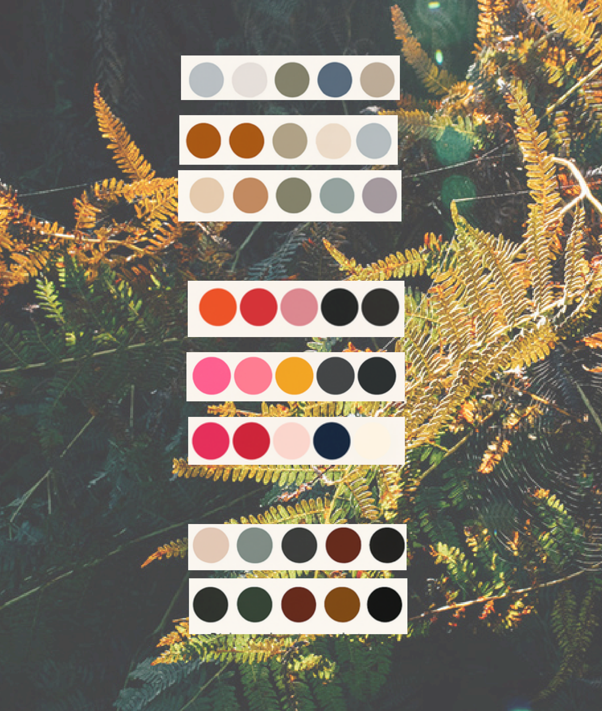 Golden autumn ferns and foliage create a vibrant natural backdrop with coordinated color palette swatches above.