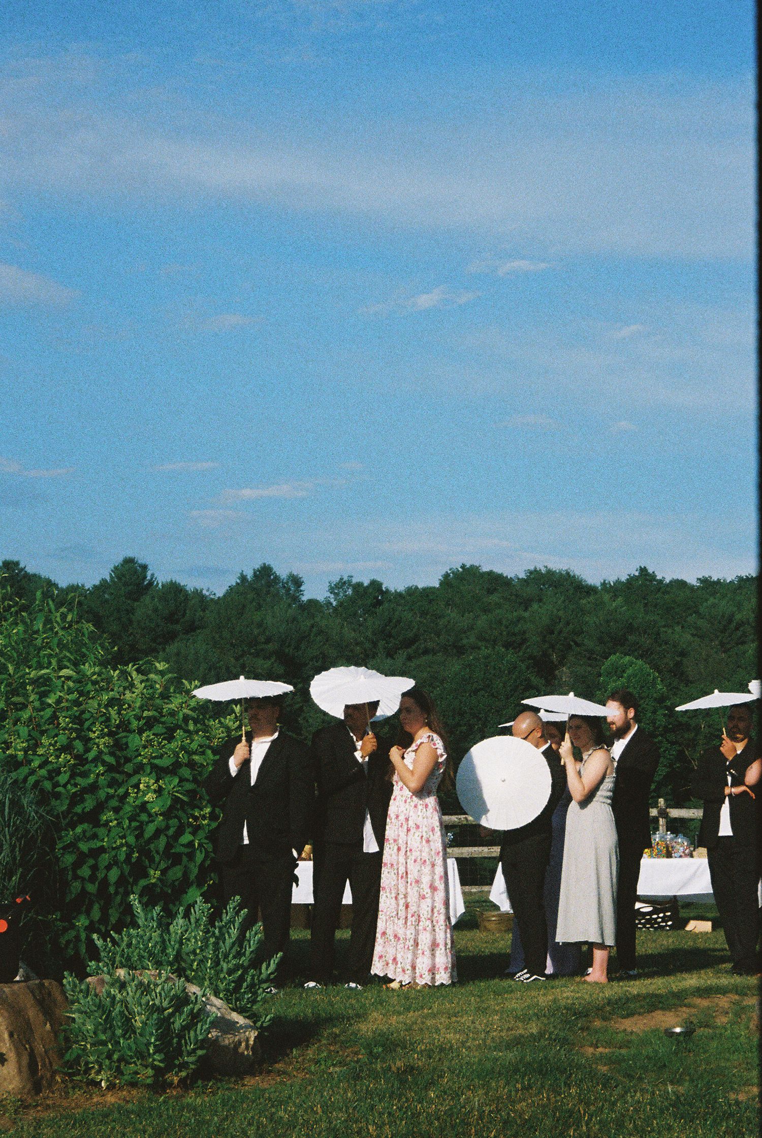 A line of people in white clothing stand among green foliage under a bright blue sky during an outdoor gathering.