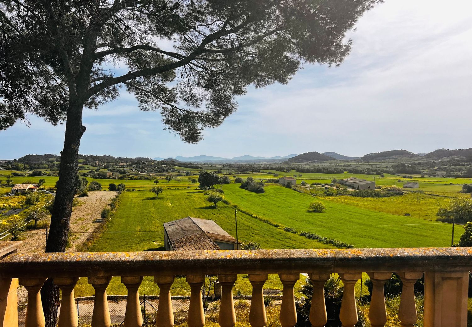 Panoramic view of lush green fields and rolling hills from a stone balcony with a pine tree in Mediterranean landscape.