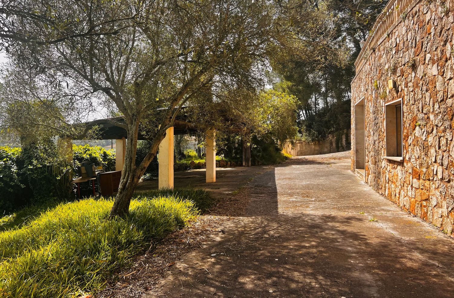 Sunlit Mediterranean estate pathway with olive trees, stone building, and pergola surrounded by lush greenery.