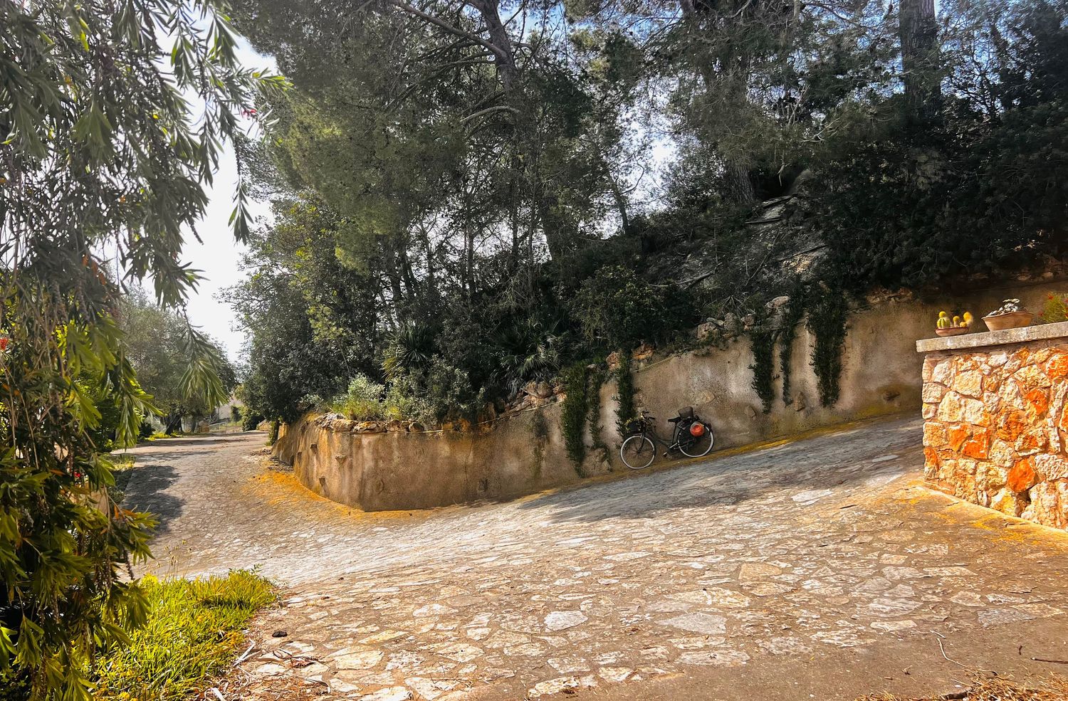 Rustic stone pathway lined with ivy-covered walls and mature trees in a serene outdoor garden setting.