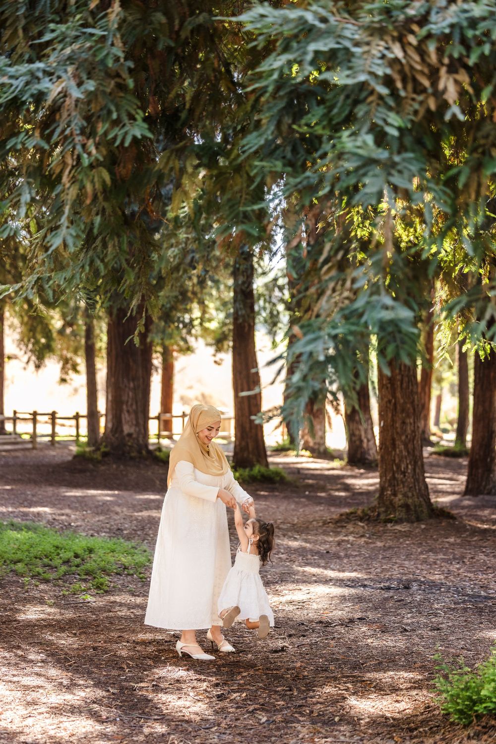 A series of connected photos showing a light swinging motion in a serene forest setting with tall trees and dappled sunlight.