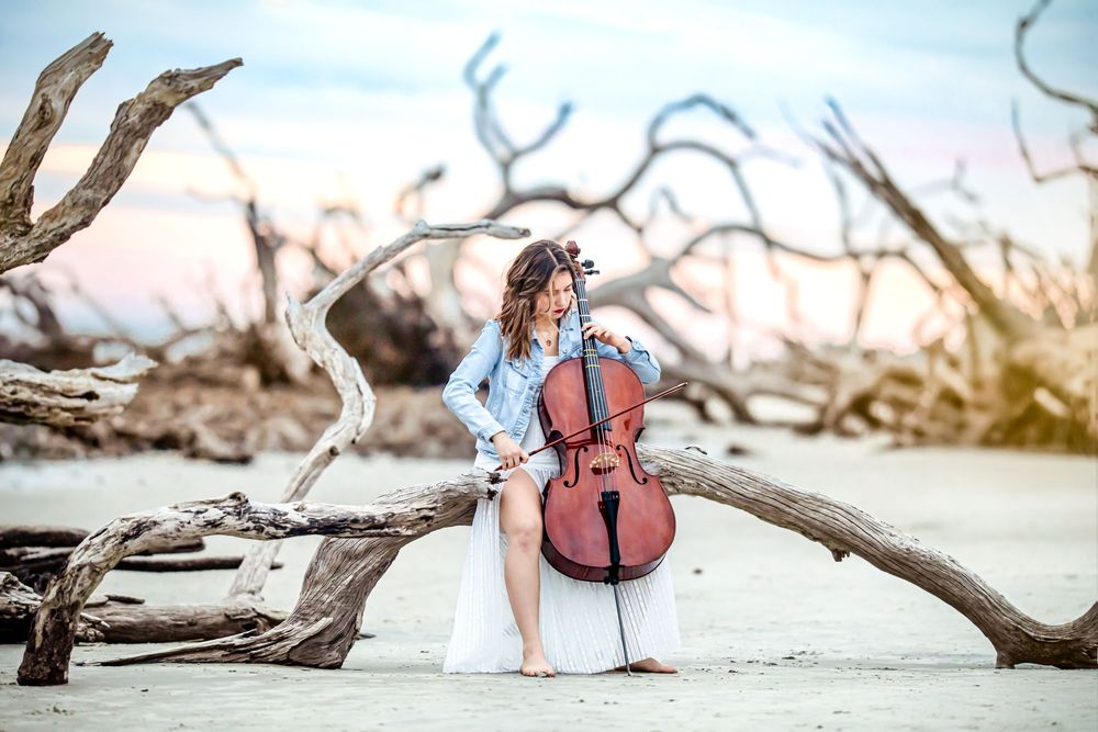 A violin rests on driftwood at the beach during golden hour with soft sand and ocean in the background.