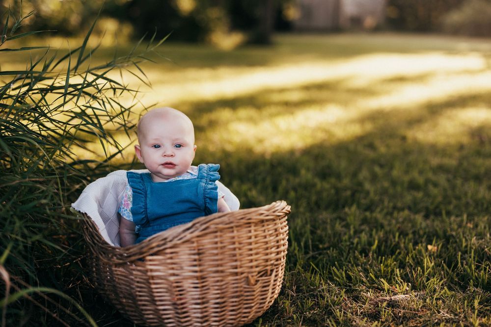 A woven wicker basket sits on sunlit grass with a small figure peeking over the edge in a bright outdoor setting.
