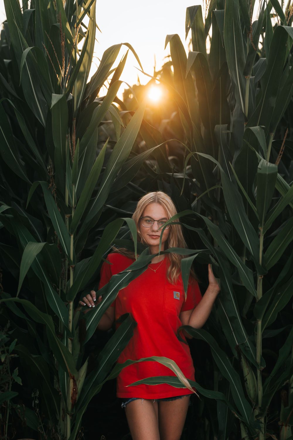 Woman in red dress poses between tall corn stalks at sunset.