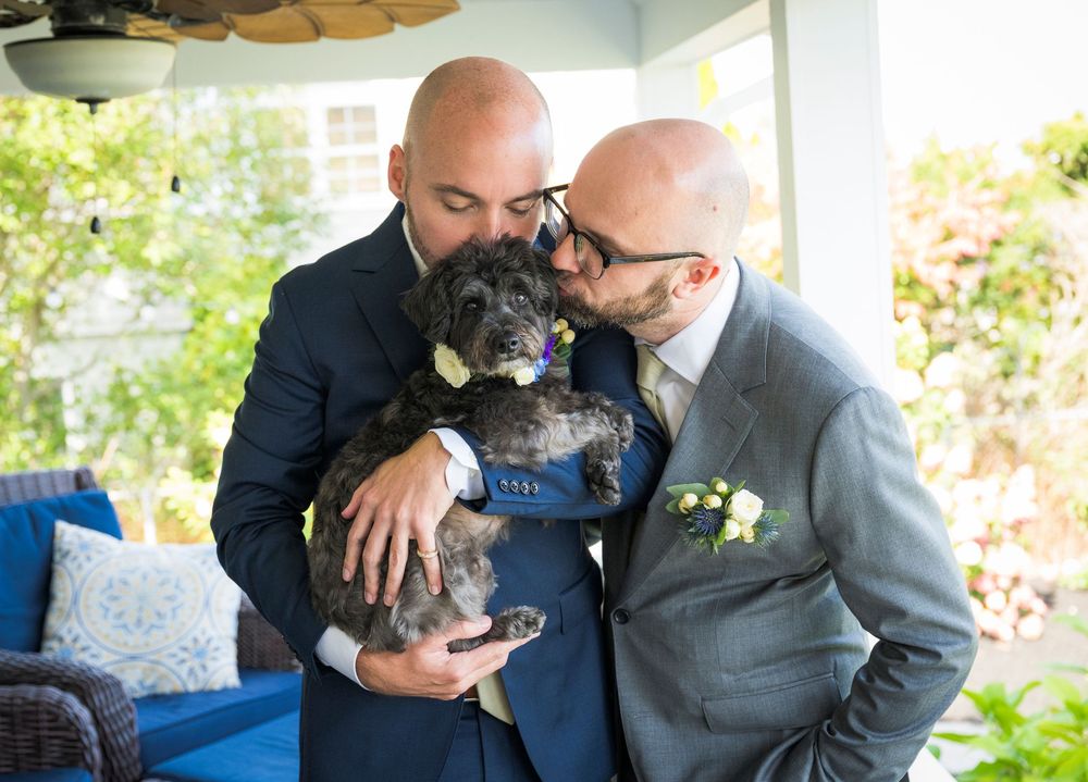 Wedding couple holding a grey cat while dressed in formal attire outdoors.