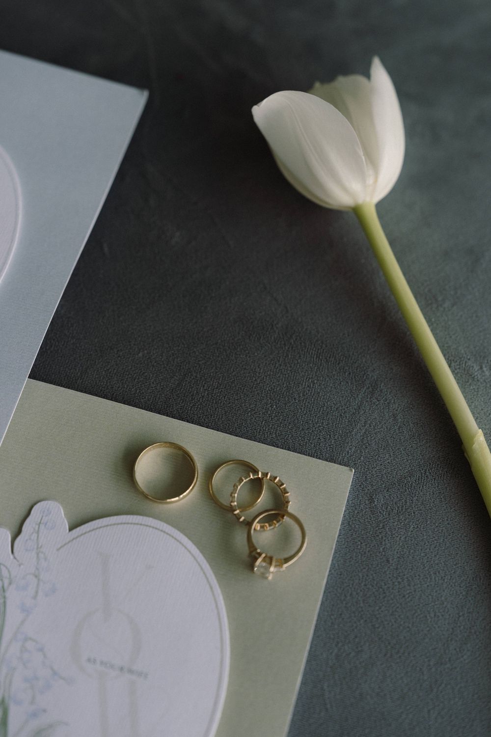 Wedding rings and a delicate white tulip arranged artistically against a muted green background.