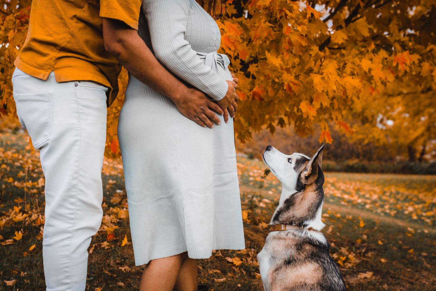 A romantic couple embraces among golden fall foliage during an outdoor autumn photoshoot.
