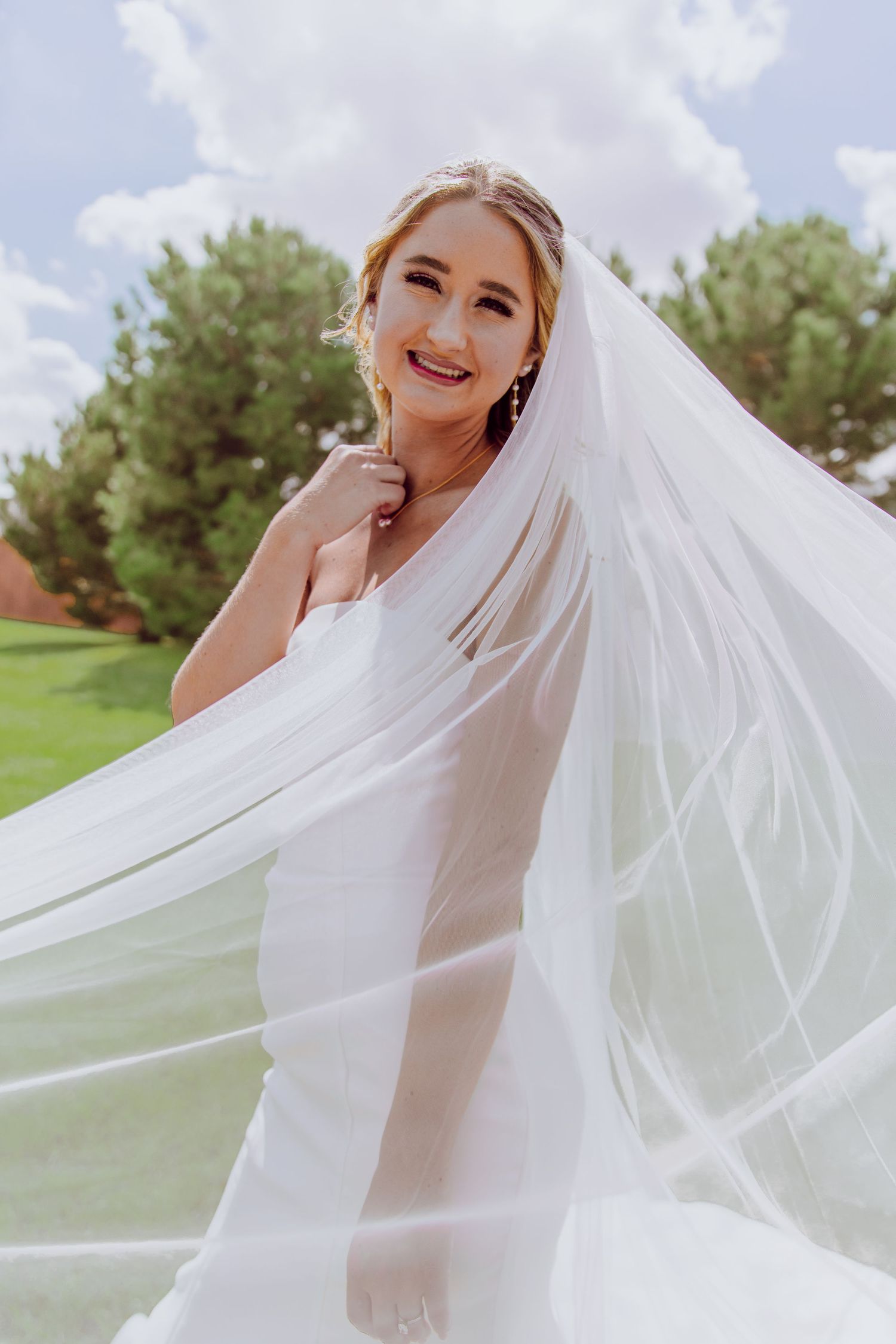 Bridal portrait with veil swooping across the foreground in front of Bride's face.