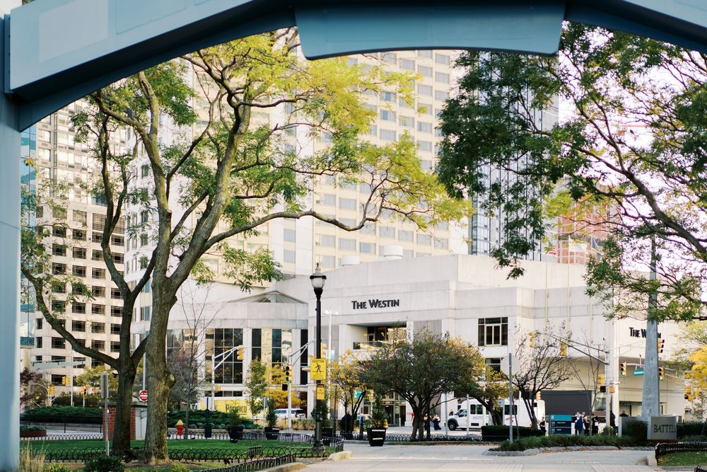 Urban cityscape view with tall buildings and trees lining a street through an architectural frame.