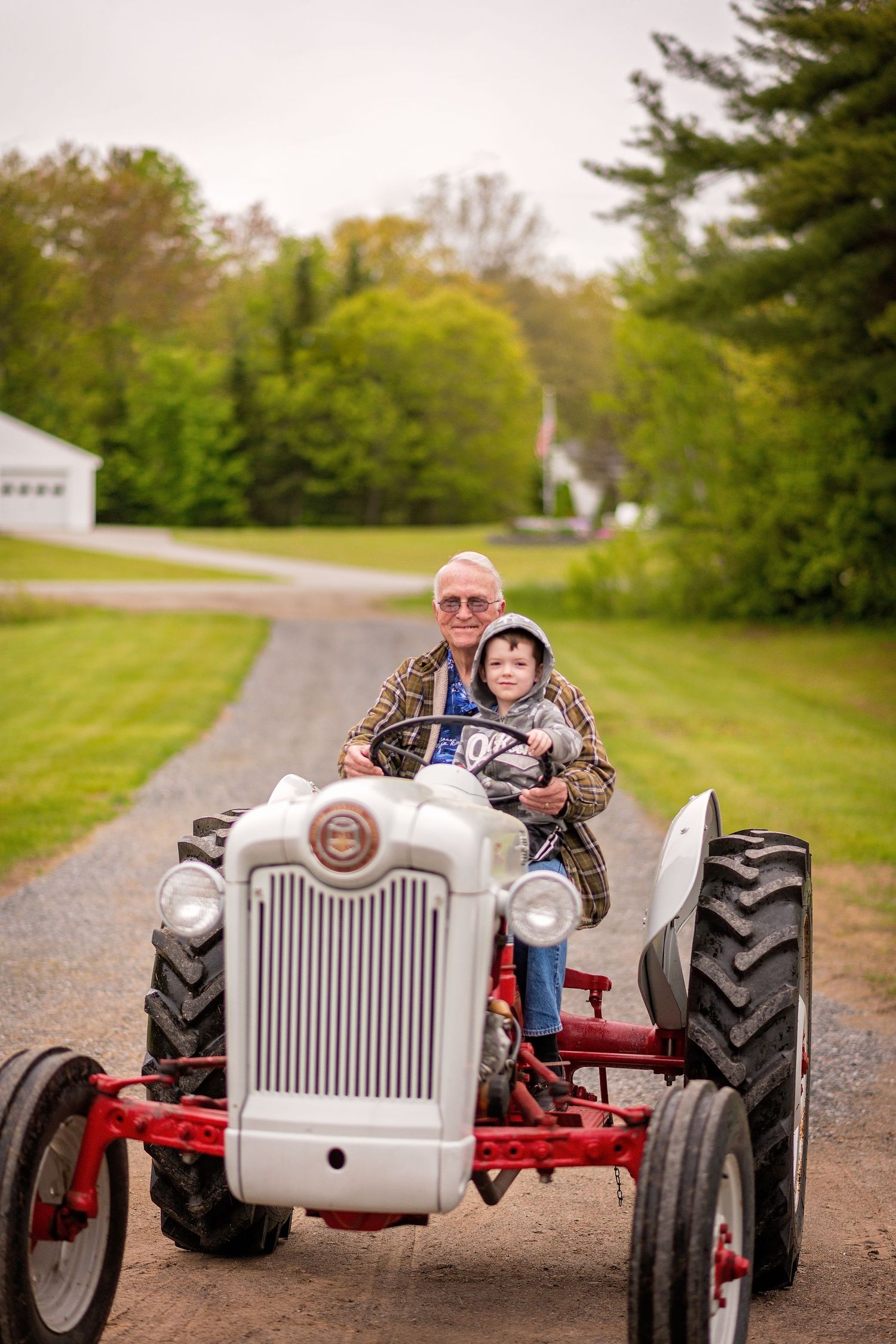 Vintage Ford tractor displayed outdoors on a gravel path with trees in background.