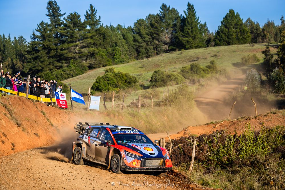 Rally cars race through a dusty mountain track surrounded by pine trees and scenic hillsides during a competition event.