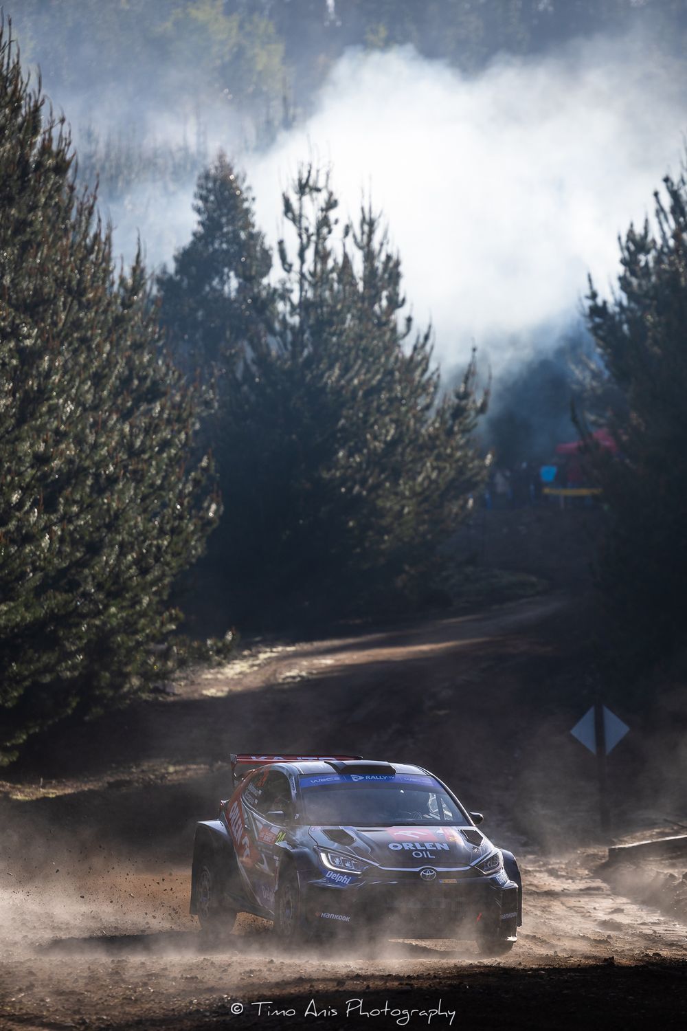 Rally car kicks up dust while racing through a pine forest on a mountain course during a competition.