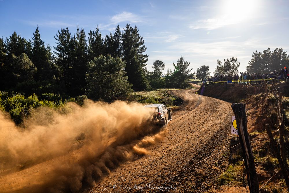Rally car kicks up dust while racing on a winding dirt track through pine trees on a sunny day.