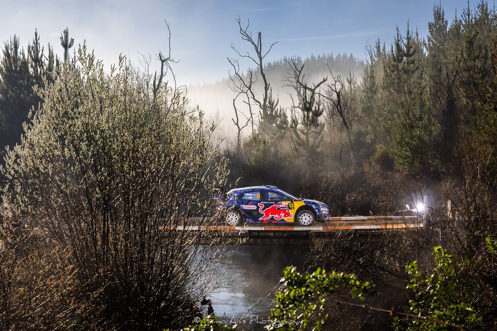 A rally car with Red Bull livery races across a misty forest bridge during a competition event.