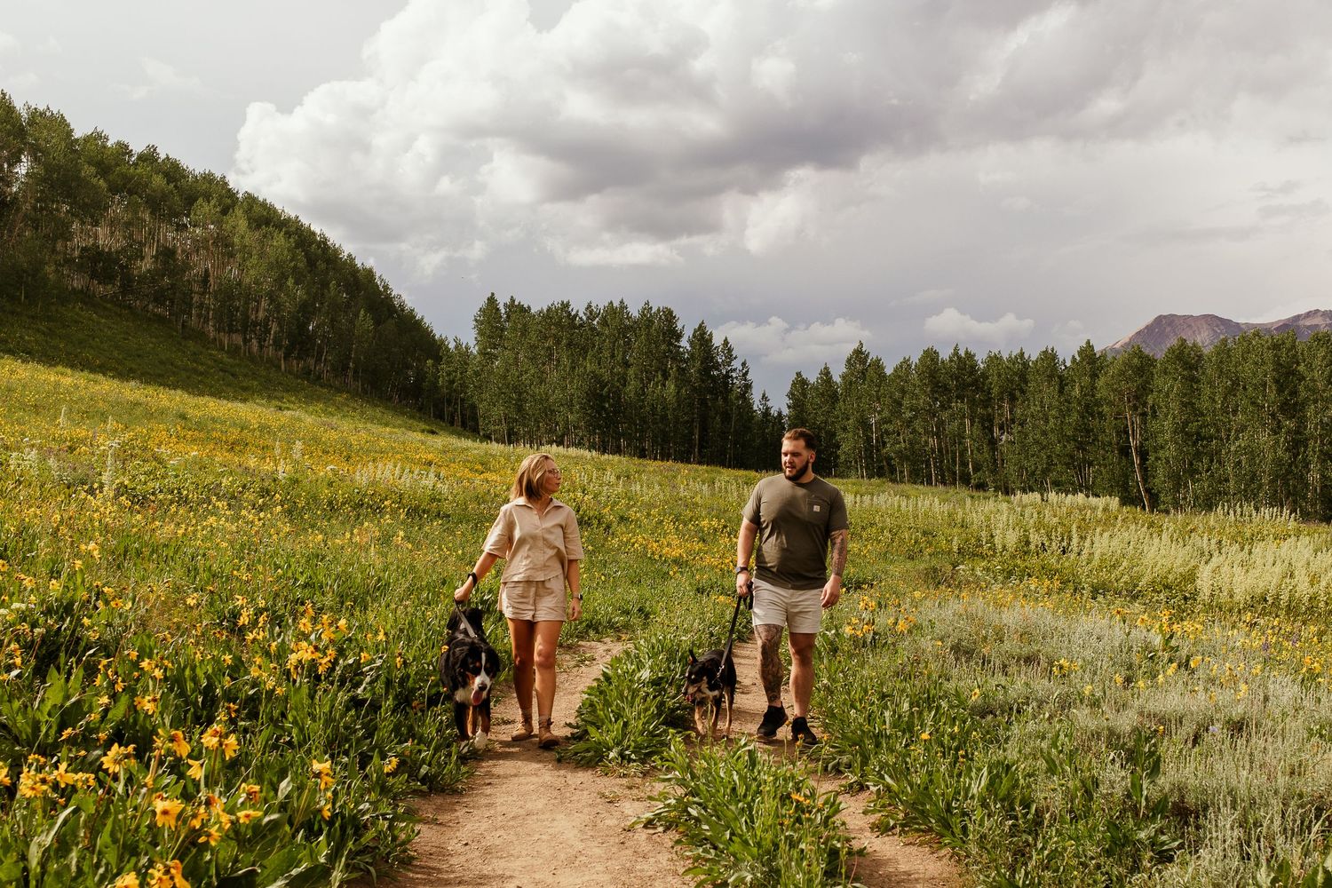 Two hikers walk along a scenic mountain trail surrounded by vibrant yellow wildflowers and green meadows.