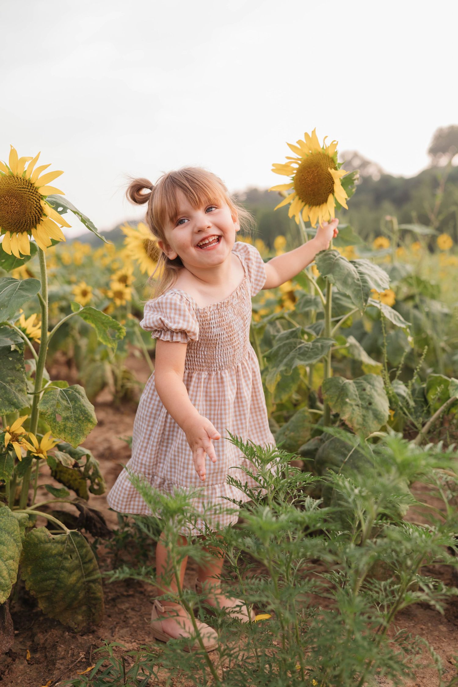 Young child playing joyfully in a sunflower field wearing a pink gingham dress.