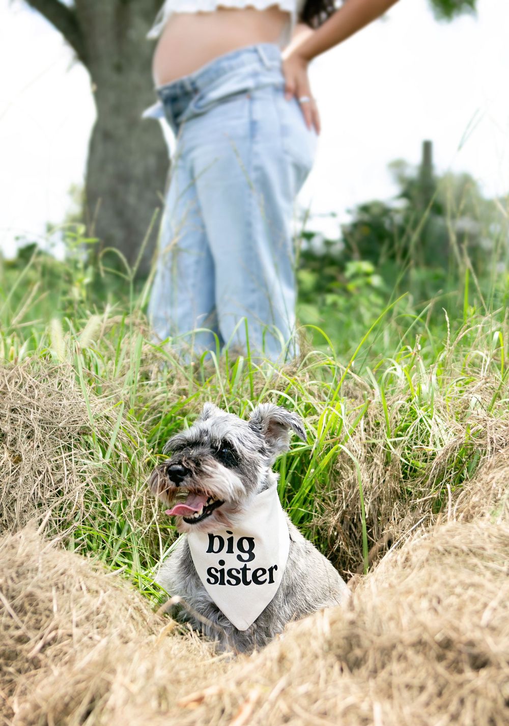 Orlando Maternity Photography, Sanford Maternity Photographer, Outdoor Maternity Photography