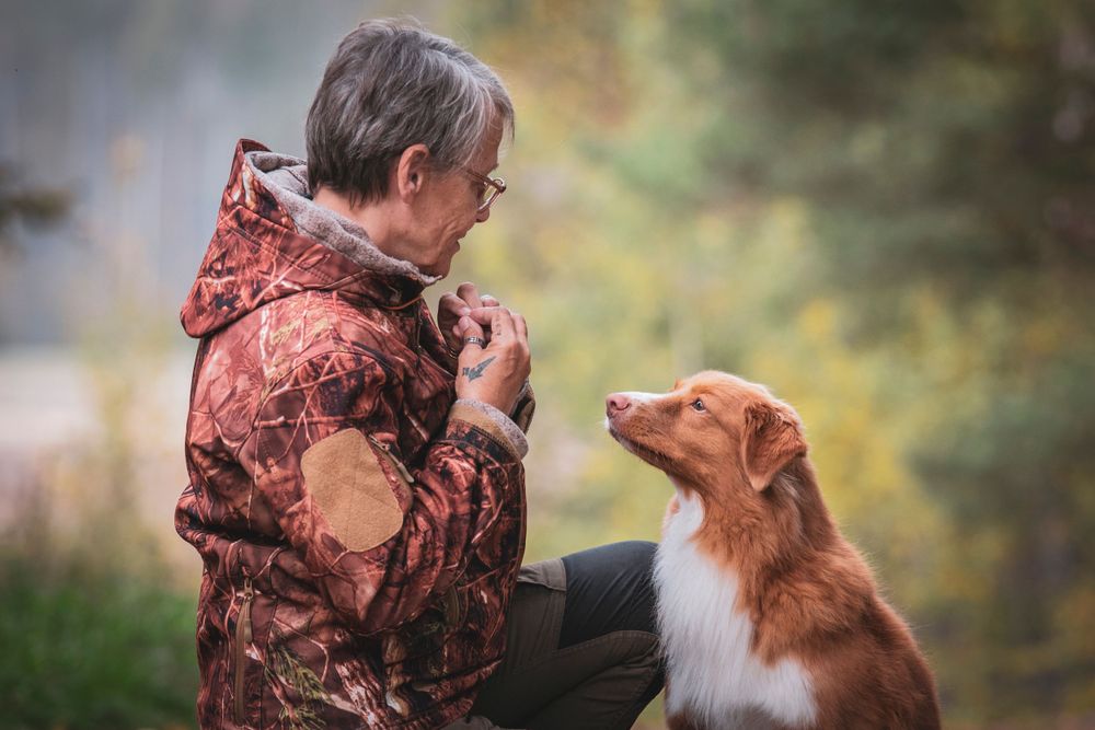 A heartwarming moment between a nova scotia duck tolling retriever and someone in a red jacket outdoors.