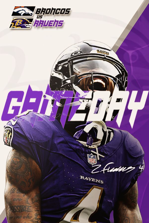 Baltimore Ravens Graphic