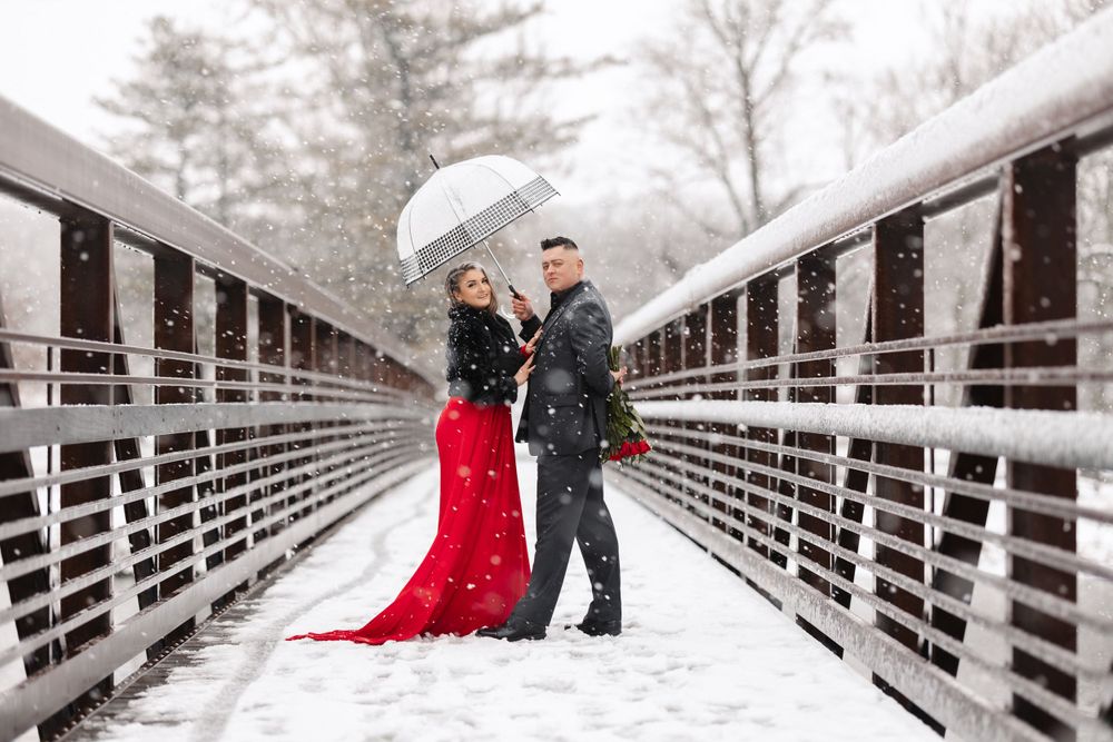 Elegant engagement photo session in Chicago suburbs Illinois by Olena Swoboda Photography LLC