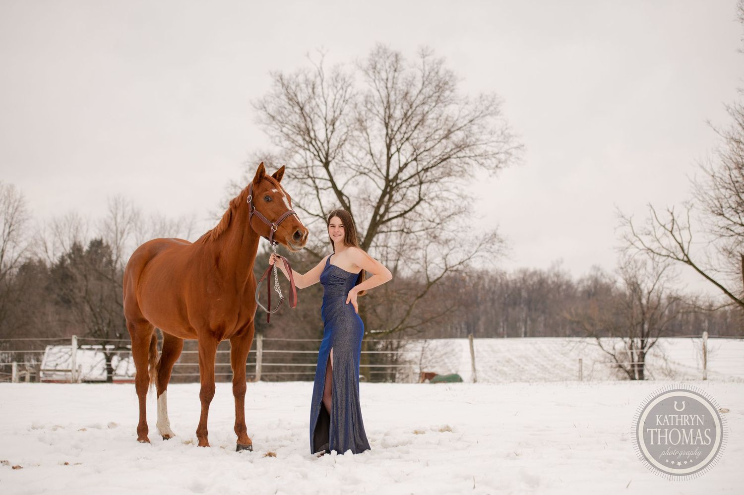 A chestnut horse stands majestically next to someone in a flowing blue gown in snowy scenery.