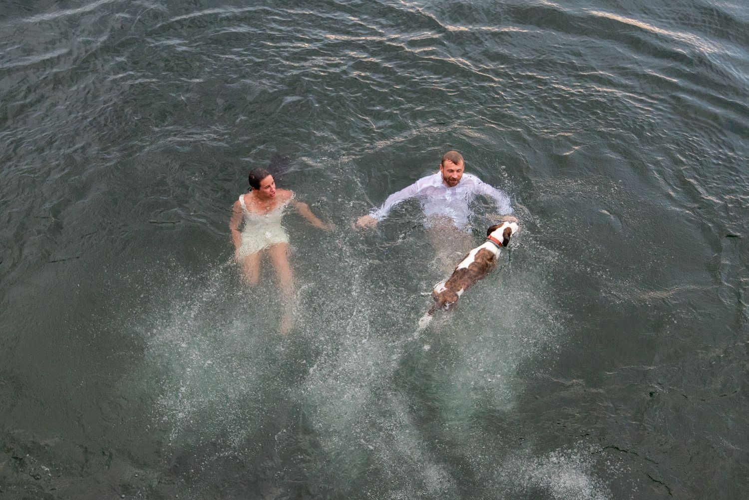 People splashing and swimming in dark water on a summer day.