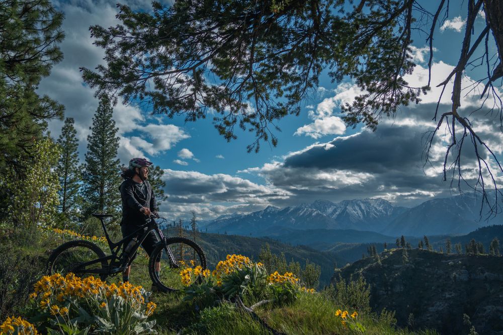 Mountain biker looking in distance