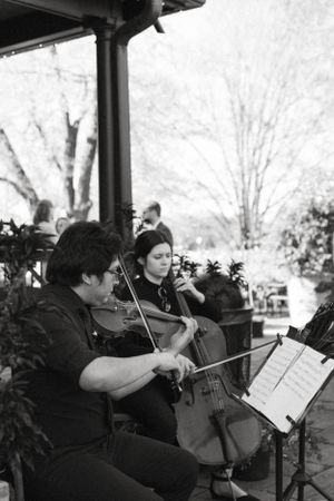 String quartet musicians perform outdoors with violin and cello on sheet music stands.