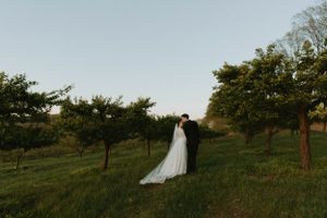 Wedding couple silhouetted against sunset in orchard landscape.