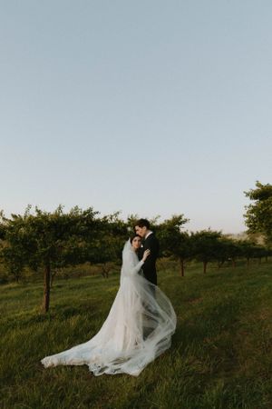 Romantic sunset wedding portrait of couple in an orchard with bride's veil flowing in the wind.