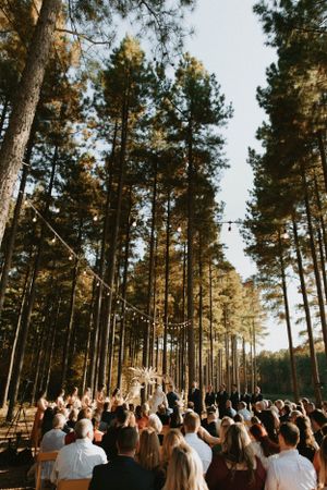 Wedding ceremony setup in a tall pine forest with string lights and gathered guests.