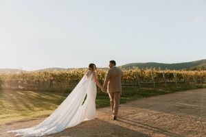 A couple walks hand in hand through a vineyard at sunset with a flowing wedding veil.