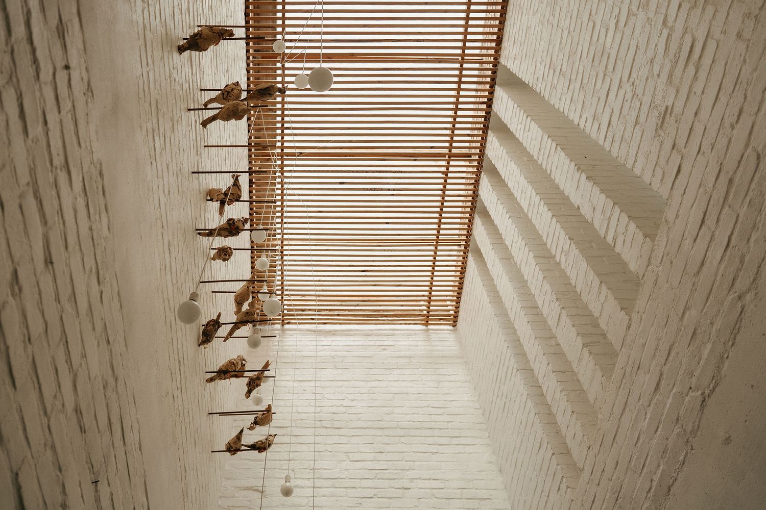 Light streaming through wooden blinds creates dramatic shadows on white walls with decorative birds mounted in a row.