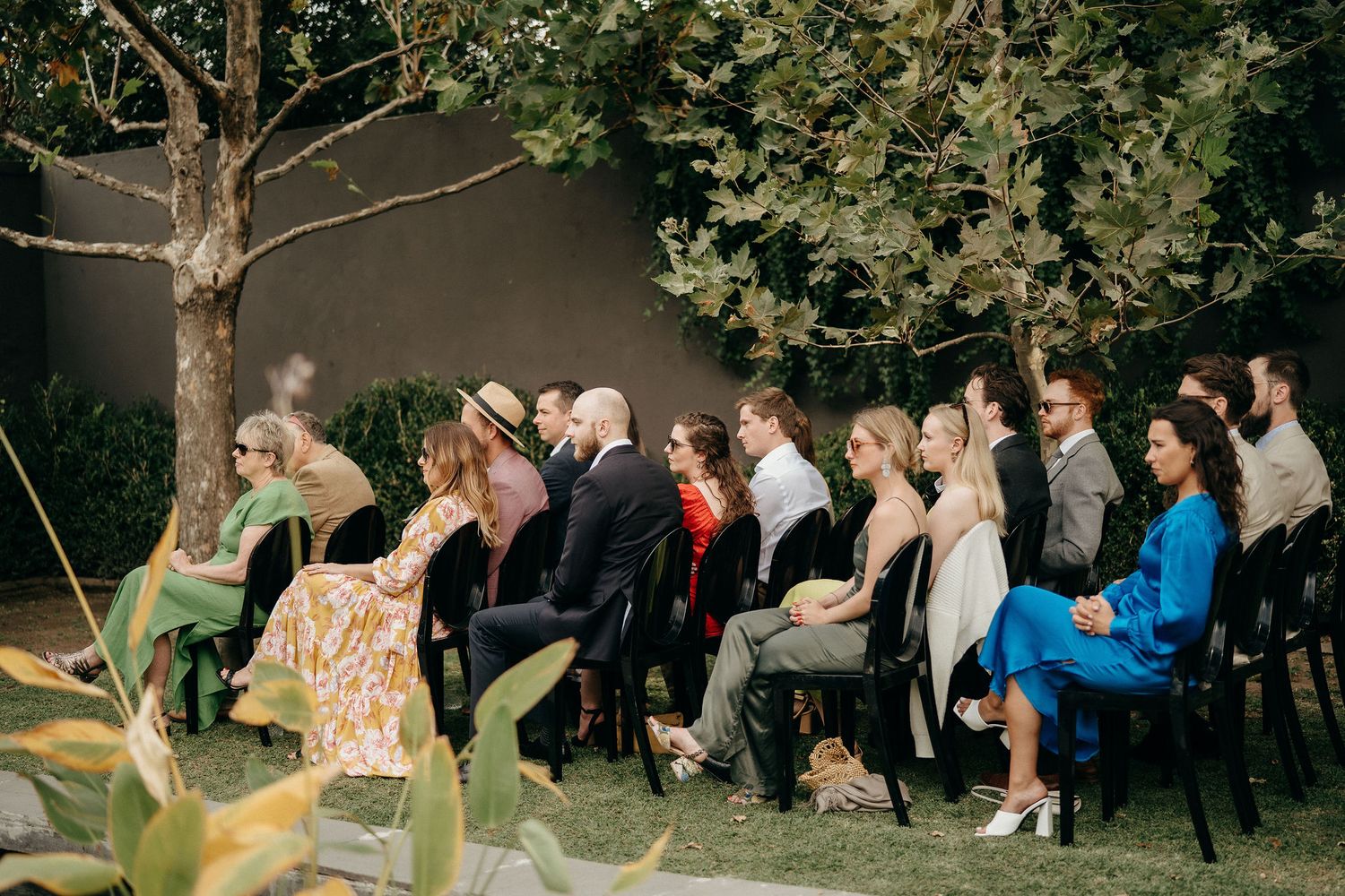 Wedding ceremony guests sit in outdoor chairs beneath a leafy tree against a dark wall backdrop.
