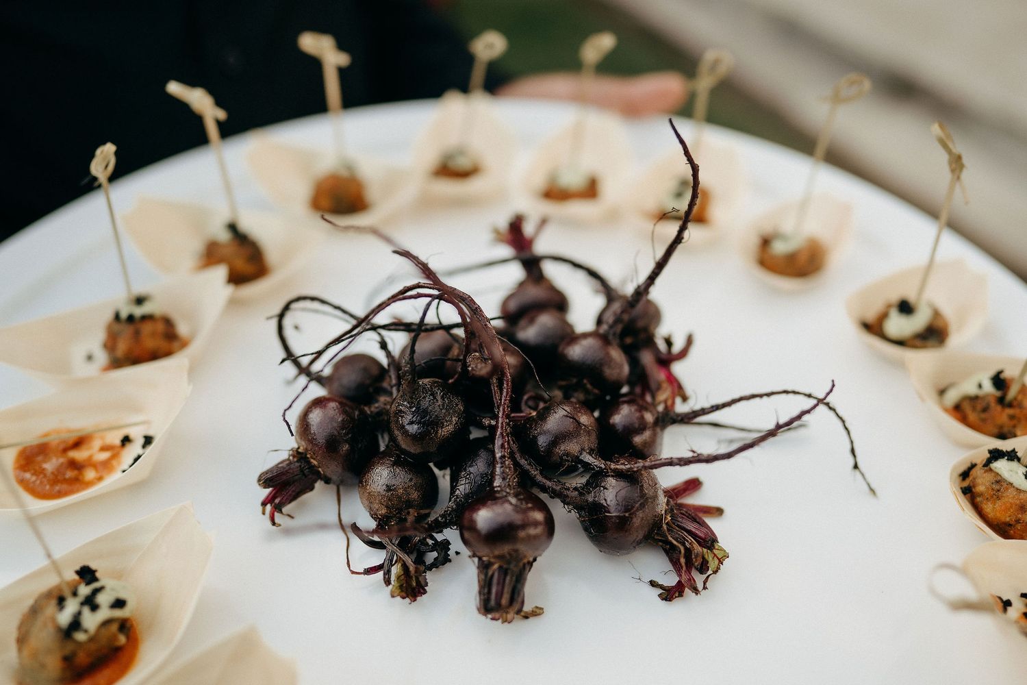 Dark dried flowers and stems arranged in the center of a white plate with small decorative dots around the perimeter.