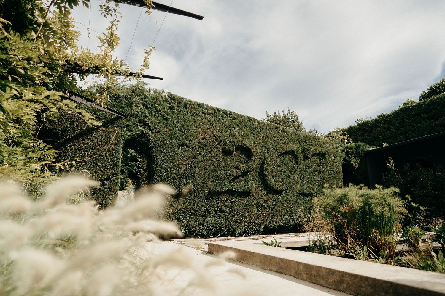 A large hedge wall with "2021" carved into it stands in a garden on a sunny day.