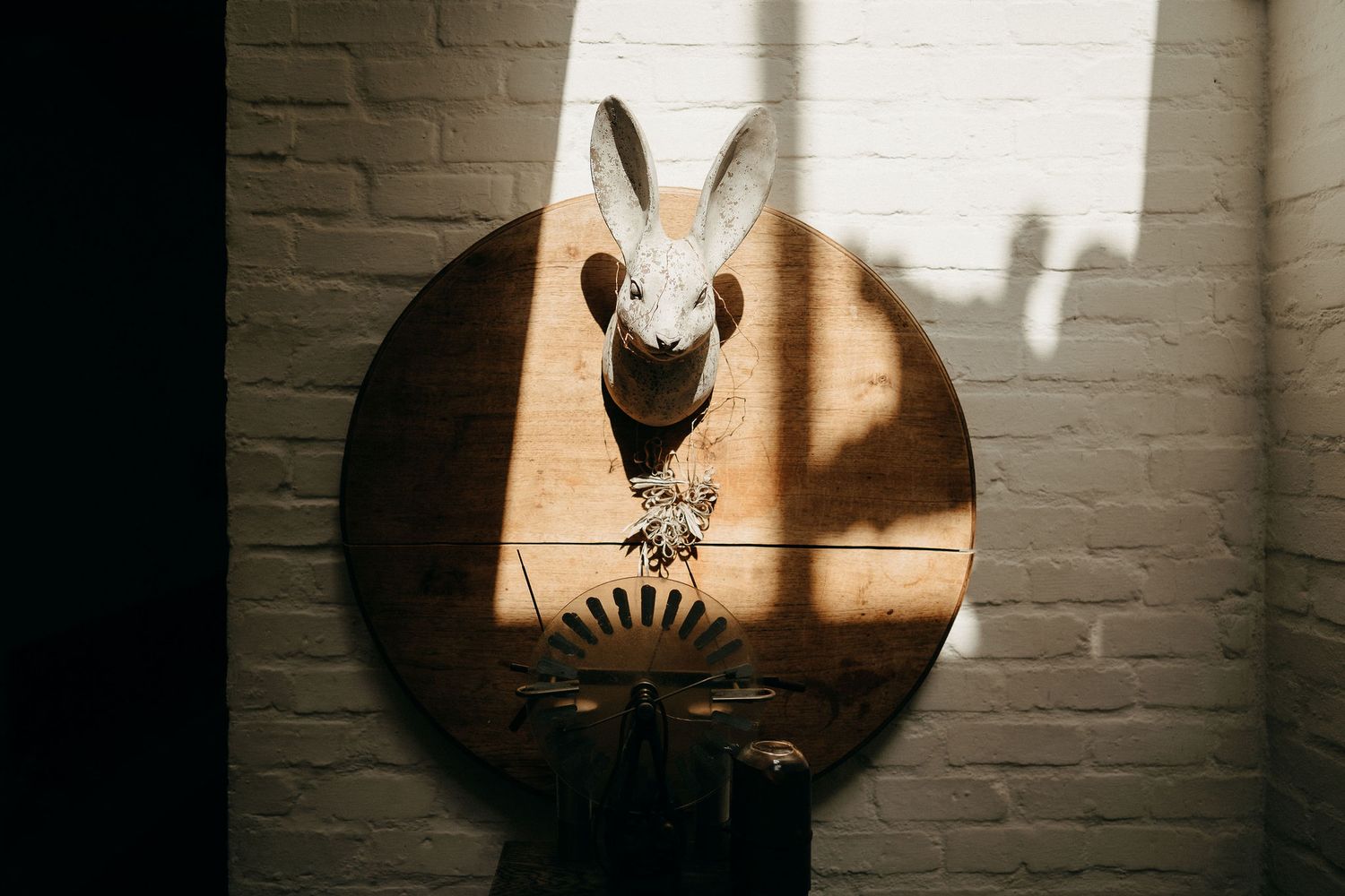 A dramatic shadow on a white brick wall shows a rabbit figure with stars and sun designs in circular framing.