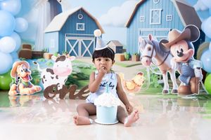 Adorable Mickey Mouse themed farm birthday party setup with blue and white decorations and rustic elements.
