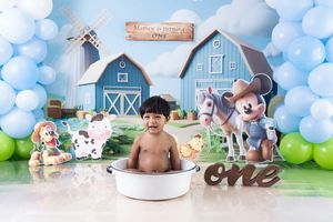 A collage of birthday party decorations and scenes with blue and green balloons, farm-themed elements, and cartoon characters.